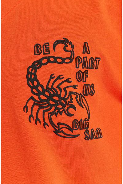 Big Sam Oversizet-Shirt Scorpion Rag Top Big Sam 3381