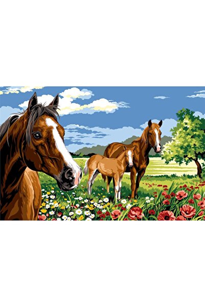 MARGOT ΤΑΞΙ 75Χ110ΕΜ - Αλόγα στην άμμο