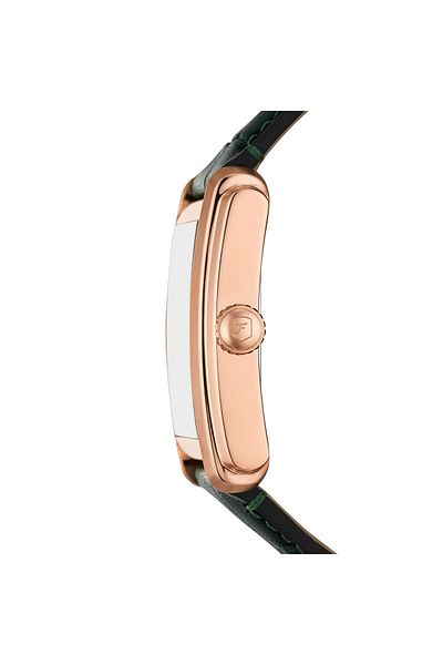 Fossil Ffs6077 Men's Watch