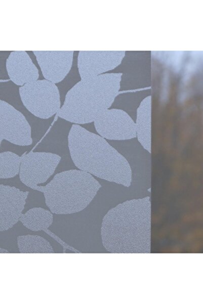 Technojet Decorative Leaf Glass Coating 45X100Cm Frosted Appearance Static Adhesion Kitchen Bathroom Window