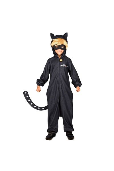 Miraculous Party Costume