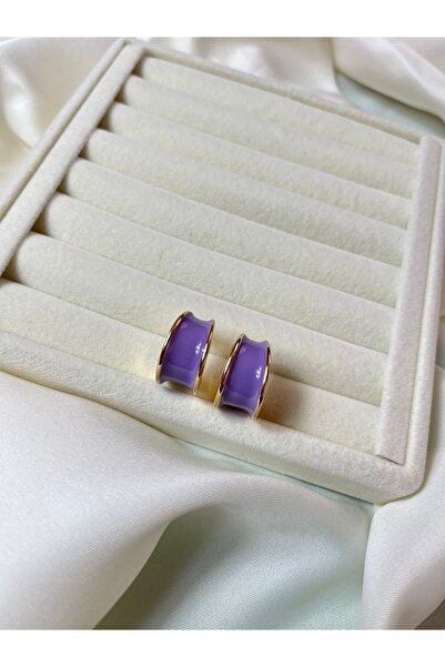 Orvix Accessories Tarnish stainless steel purple ring women's summer earrings...