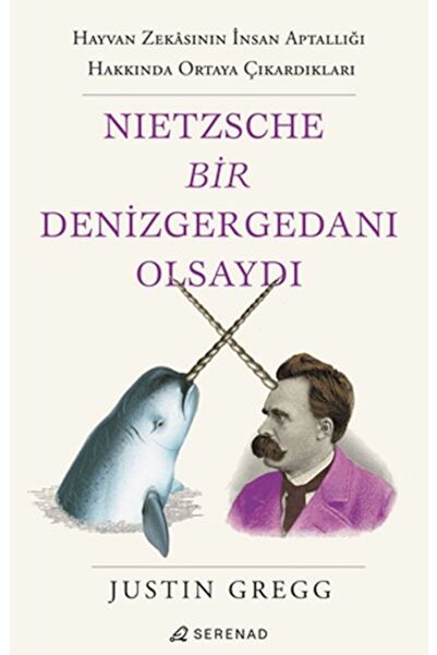 İthaki Yayınları Nietzsche Bir Denizgergedanı Olsaydı