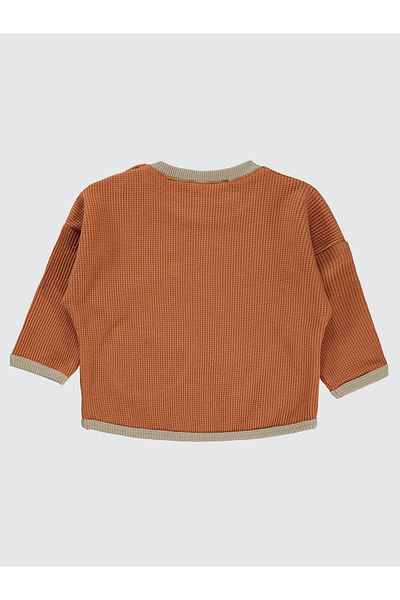 Civil Baby 6-18 Months Baby Boy Copper Sweatshirt