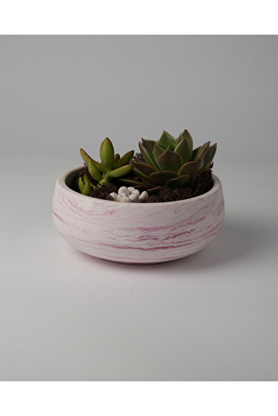 Kaju Creative Dekoratif Beton Kase Saksı - Oval Kase 21,5 x 9,5 3L /14X6.5 1....