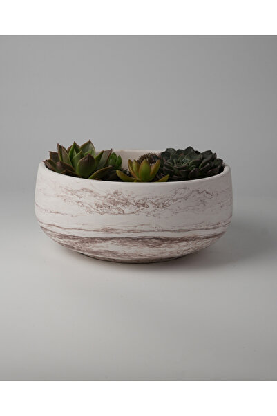 Kaju Creative Dekoratif Beton Kase Saksı - Oval Kase 21,5 x 9,5 3L /14X6.5 1....