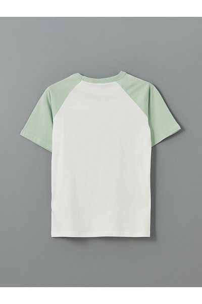 LC Waikiki Crew Neck Printed Boy's T-Shirt (S5)