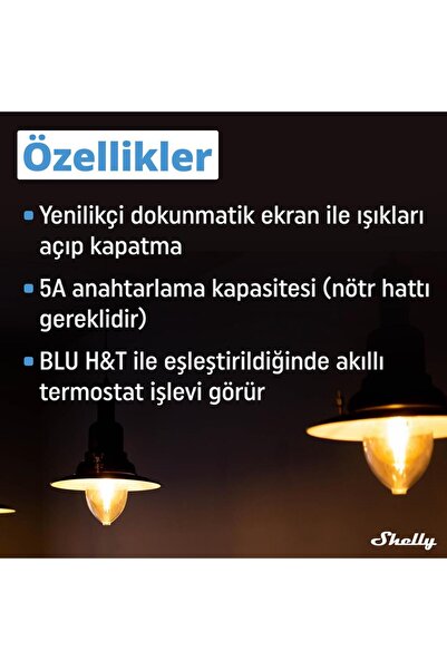 Shelly Wall Display & BLU H&T Siyah Merkezi Kontrol Panel Seti