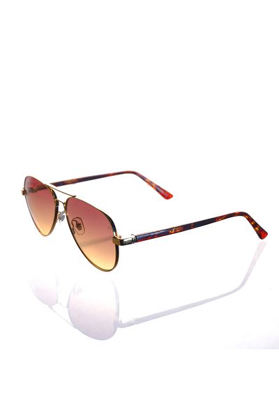 AR COLLECTİON Plus Men Metal Sunglasses Ar310 C3