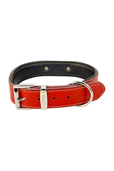 Canini Collar Kişiselleştirilmiş Hakiki Klasik Deri Köpek Tasması, Dayanıklı-Yumuşak Deri Alt Kısım