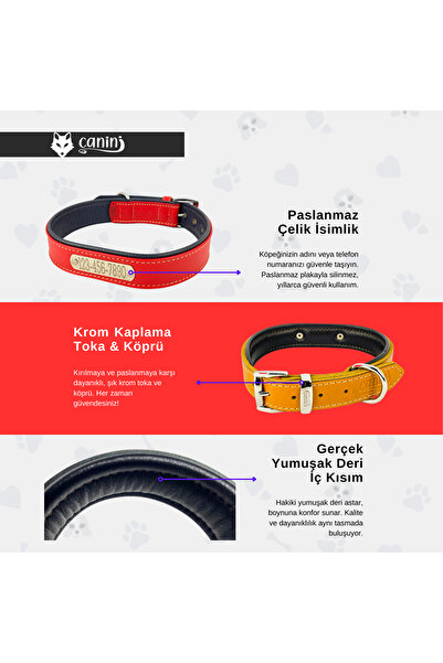 Canini Collar Kişiselleştirilmiş Hakiki Klasik Deri Köpek Tasması, Dayanıklı-Yumuşak Deri Alt Kısım