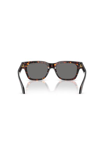 Versace Sunglasses Ve4486 52 550981