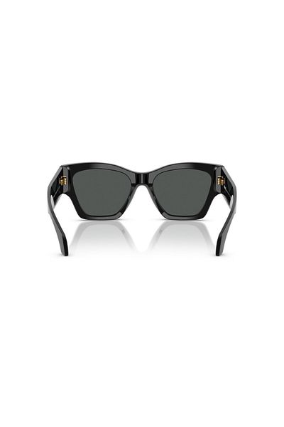 Versace Sunglasses Ve4492U 53 Gb1/87