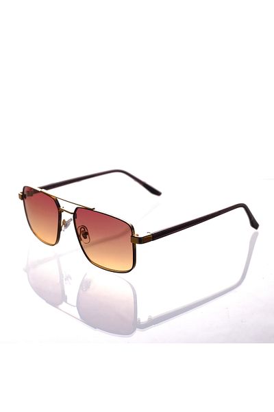 AR COLLECTİON Plus Men Metal Sunglasses Ar312 C6