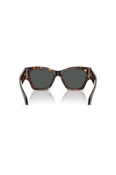 Versace Sunglasses Ve4492U 53 108/87