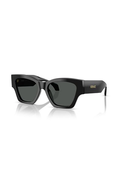 Versace Sunglasses Ve4492U 53 Gb1/87