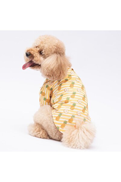 Pawstar Panama City Kedi Köpek Gömleği - Kedi Köpek Kıyafeti