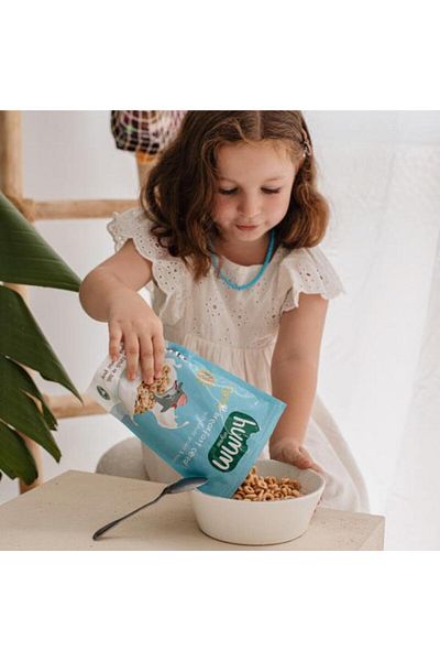 Skygo Humm Organic Whole Grain and Honey Breakfast Crisp 80 Gr