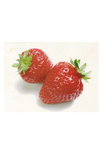 Educational Toys الكروت التعليمية - الفواكة