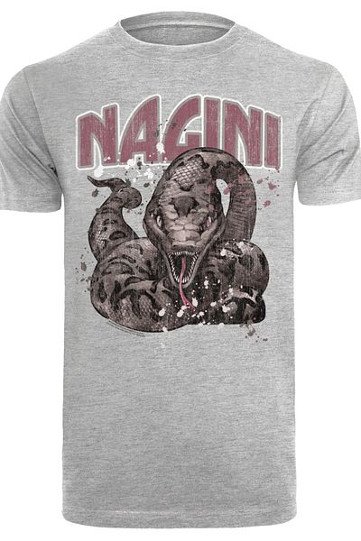 F4NT4STIC Herren Harry Potter Nagini Splats mit T-Shirt mit Rundhalsausschnitt