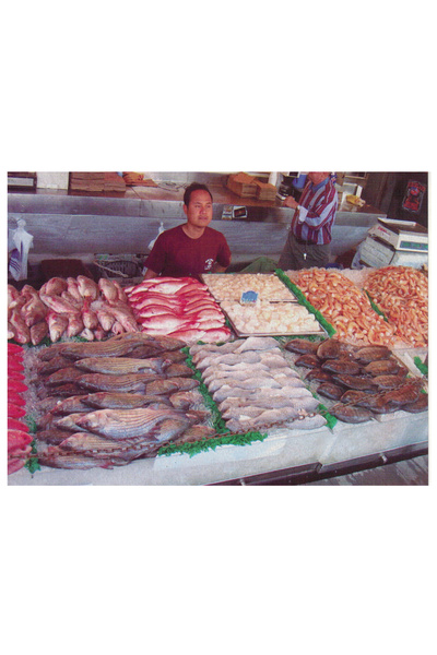 Educational Toys الكروت التعليمية السوق