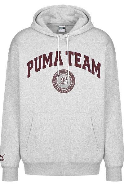 Puma Herren Team Hoodie