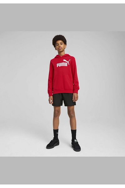 Puma Ess No. 1 Logo Hoodie