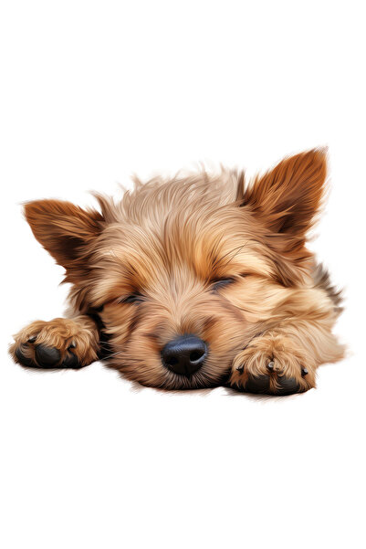 StoryGift Romania Sticker Autocolant 70CM cu un catel maro blanos care doarme...