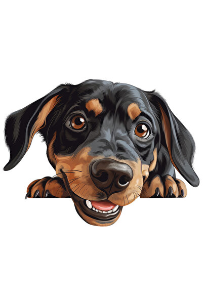 StoryGift Romania Sticker Eticheta 50CM cu un catel vesel care asteapta sa se...