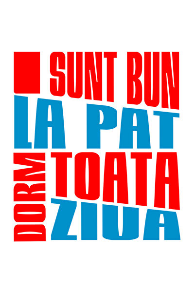 StoryGift Romania Sticker Adeziv 90CM cu Mesaj Colorat Iluzie Optica Text Sunt Bun la Pat Dorm Toata Ziua, haios