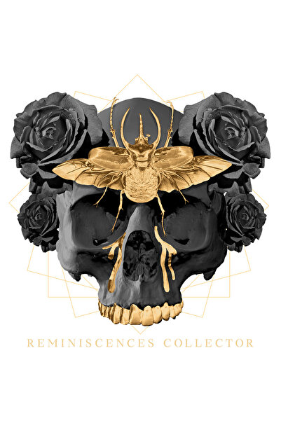 StoryGift Romania Sticker Autocolant 70CM Cu Mesaj In Engleza Drink Coffee An...