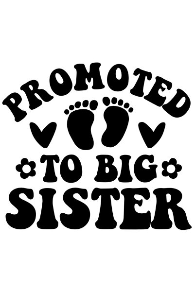 StoryGift Romania Sticker Eticheta 40CM Cu Text In Engleza Promoted To Big Si...