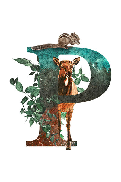 StoryGift Romania Sticker Adeziv 90CM Cu Litera, P, Veverita, Caprioara, Frunze, cu Margini Albe, PVC Vinyl 90 cm