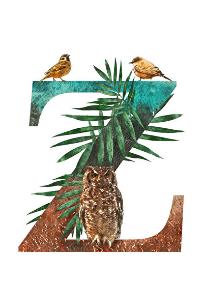 StoryGift Romania Sticker Cu Litera, Z, Bufnita, Pasari, Cu Margini Albe, Pvc Vinyl 70 Cm