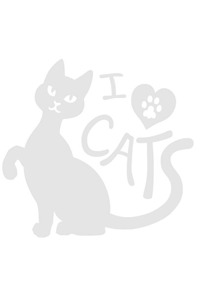 StoryGift Romania Sticker Adeziv 90CM Exterior cu o pisica si mesajul in engl...