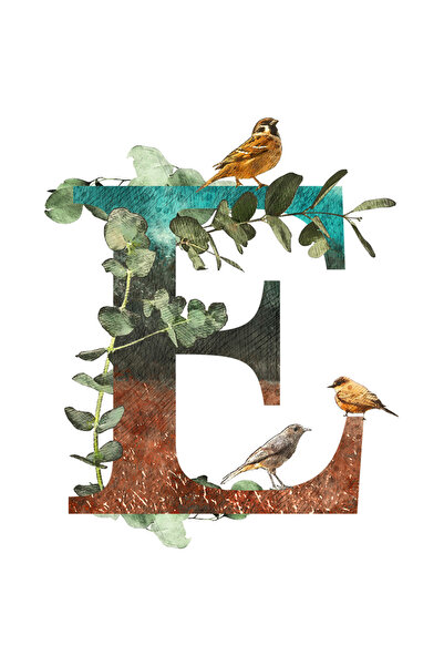 StoryGift Romania Sticker Adeziv 90CM Cu Litera, E, Pasari, Vrabioare, Frunze...