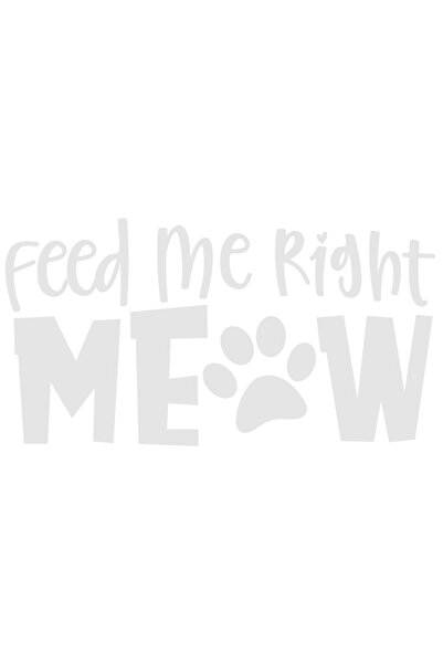 StoryGift Romania Sticker Autocolant 70CM Exterior pentru iubitorii de pisici...