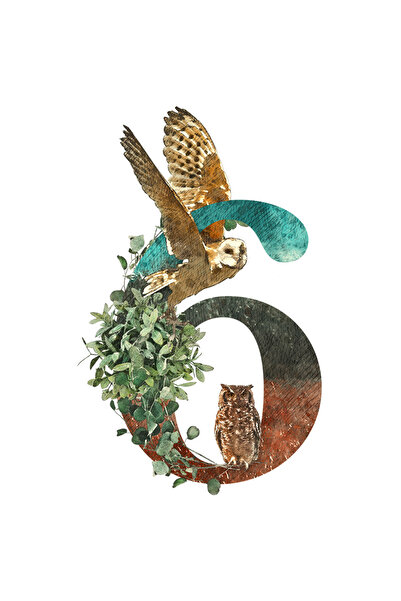 StoryGift Romania Sticker Eticheta 40CM Cu Cifra, 6, Bufnite, Frunze, Natura,...