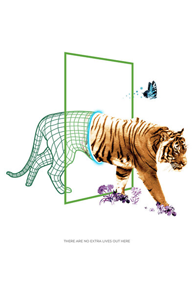 StoryGift Romania Sticker Eticheta 40CM Cu Mesaj In Engleza There Are no Extr...