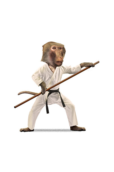 StoryGift Romania Sticker Adeziv 90CM Cu Maimuta, Karate, Kung Fu, Bat, Luptator, cu Margini Albe, PVC Vinyl 90 cm