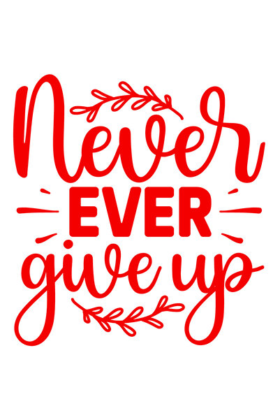 StoryGift Romania Sticker Autocolant 30CM Exterior cu textul in engleza "Never ever give up" - nu renunta niciod