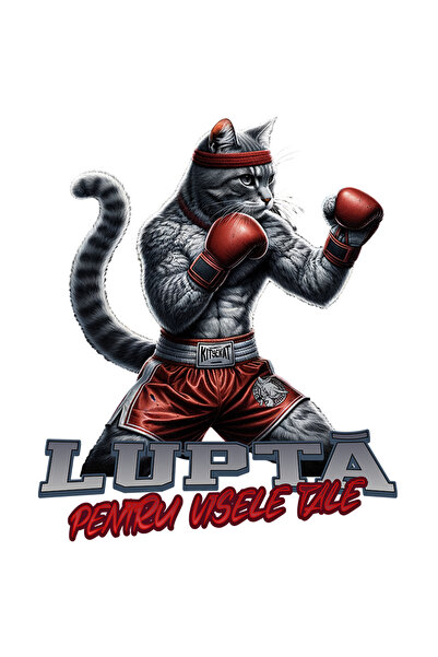 StoryGift Romania Sticker Adeziv Pisica Box Mesaj Motivational Lupt Pentru Vise Cu Margini Albe, Pvc Vinyl 4