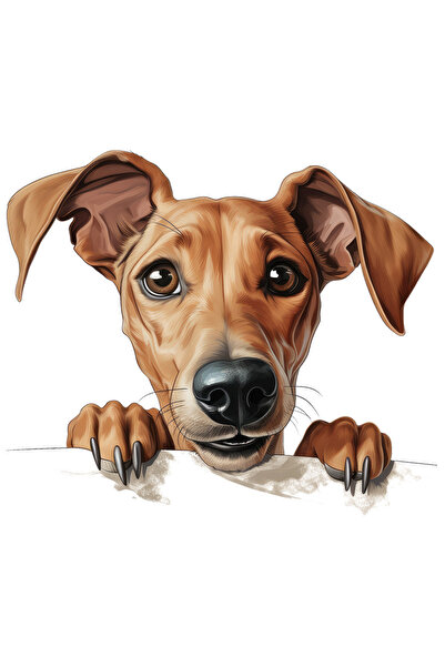 StoryGift Romania Sticker Adeziv 90CM cu un catel uimit, ilustratie, se uita ...