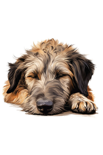 StoryGift Romania Sticker Eticheta 40CM cu un caine blanos care a atipit, ilu...