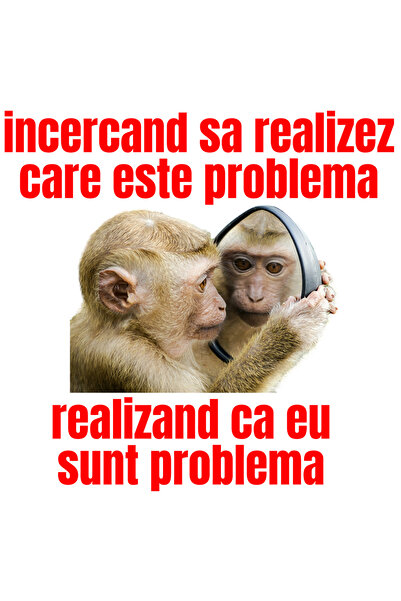 StoryGift Romania Sticker Autocolant 70CM Adeziv maimuta haioasa uitandu-se i...