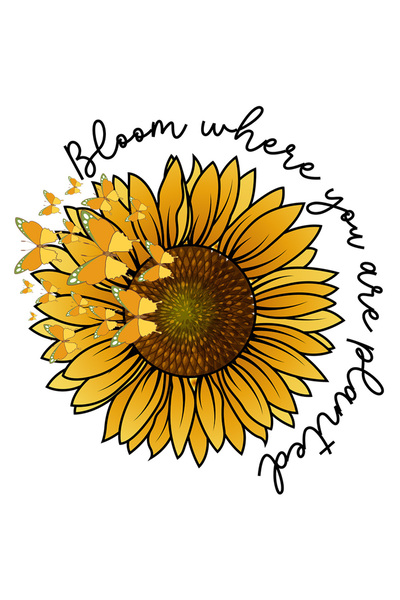StoryGift Romania Sticker Eticheta 50CM cu floarea-soarelui cu mesajul "Bloom where you are planted", fluturi, i