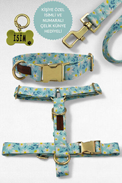 CARAMELOS KÖPEK TASMASI- KÖPEK TASMA SETİ- İSİMLİ KÖPEK TASMA-ORTA VE BÜYÜK IRK KÖPEK TASMA-KİŞİYE ÖZEL TASMA