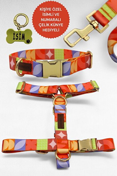 CARAMELOS KÖPEK TASMASI- KÖPEK TASMA SETİ- İSİMLİ KÖPEK TASMA-ORTA VE BÜYÜK IRK KÖPEK TASMA-KİŞİYE ÖZEL TASMA