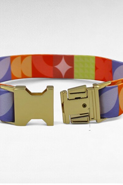 CARAMELOS KÖPEK TASMASI- KÖPEK TASMA SETİ- İSİMLİ KÖPEK TASMA-ORTA VE BÜYÜK IRK KÖPEK TASMA-KİŞİYE ÖZEL TASMA