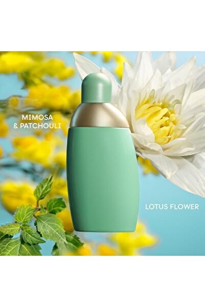 Cacharel Eden by Perfume for Women - Eau de Parfum, 30ml